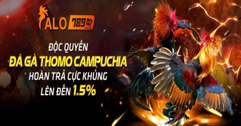 Link vào Alo789.net cập nhật mới nhất hôm nay 4 Lợi ích khi sử dụng Alo789.net